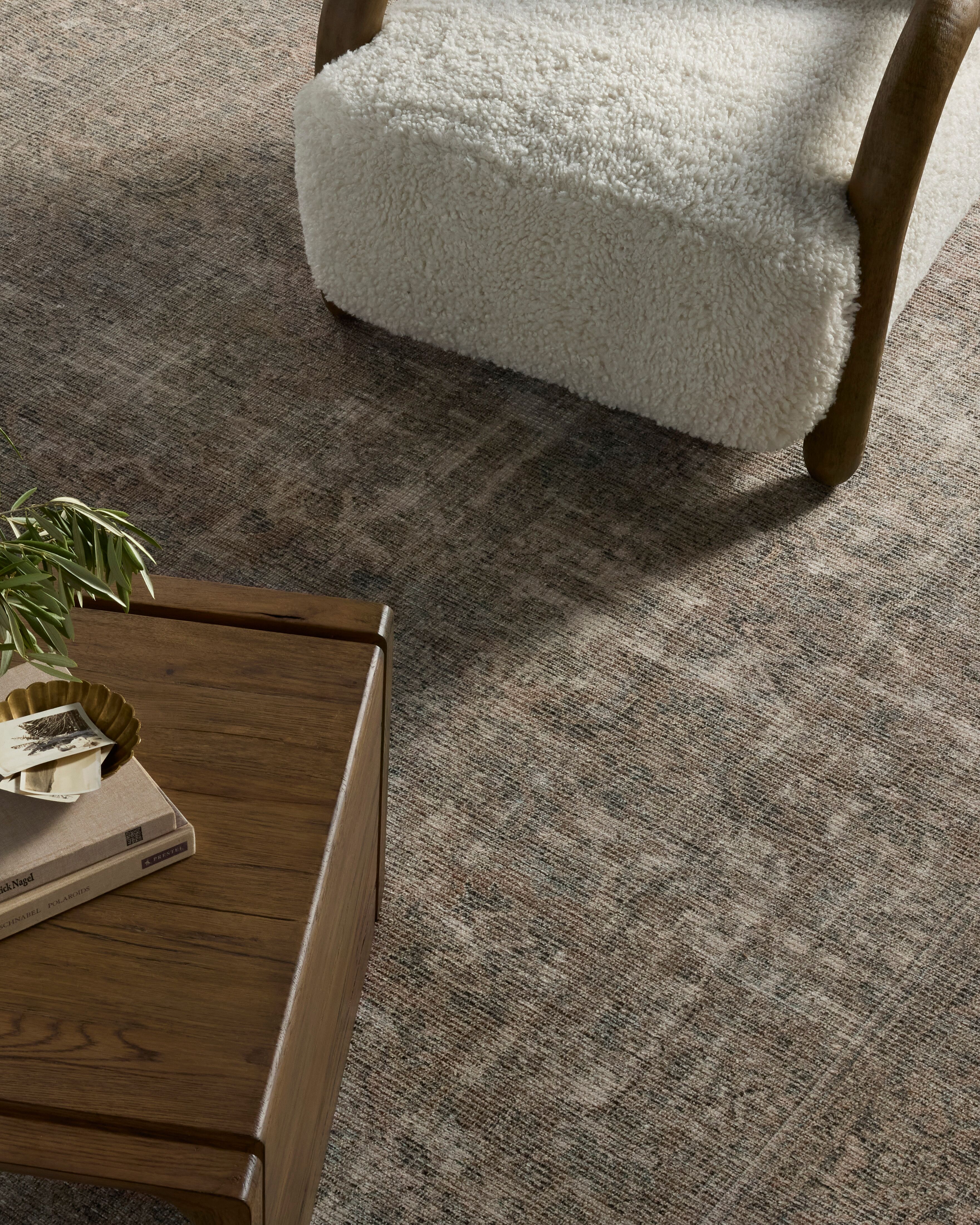 Reva Printed Rug | Joon Loloi